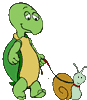 The Pets Corner' by Turtle