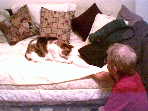 spaz - get that hand!