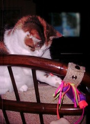 Love that purple toy!