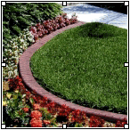 Image fits table fine.  All four sides have edit points