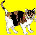spaz with not enough transparent