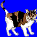 spaz on blue