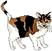 spaz