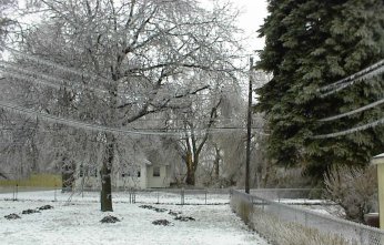 snow and trees - Rochester NY April 2003