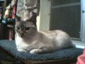 The sweetest one, so loving and gentle!